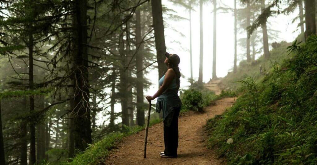 Hidden Hiking Trails in Sintra
