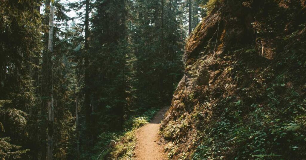 easy hikes in Sintra