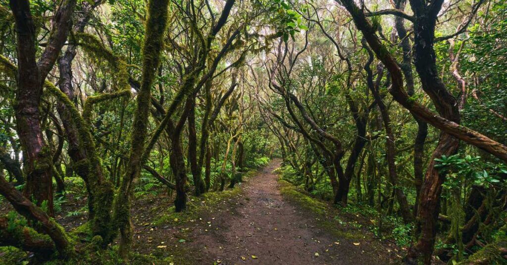 sintra hidden hiking trails